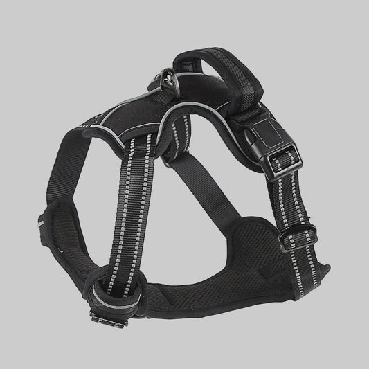 Comfortable dog harness vest designed for secure everyday walks.