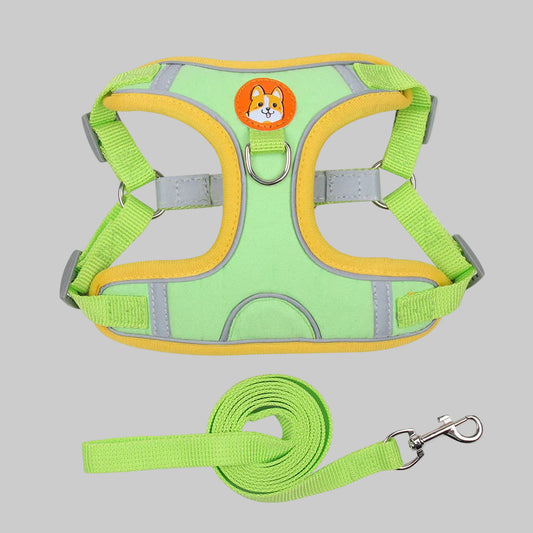 Reflective pet harness set for safer daily walks