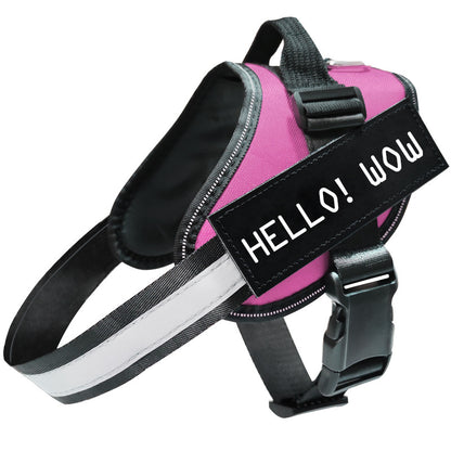 Durable reflective dog leash close-up design