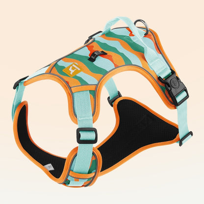 Pet walking leash and harness combo for better control
