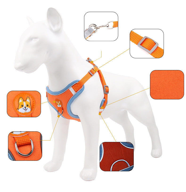 Reflective dog harness designed for nighttime walks