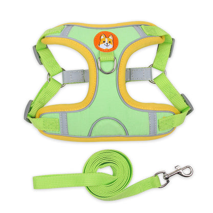 Reflective pet harness set for safer daily walks