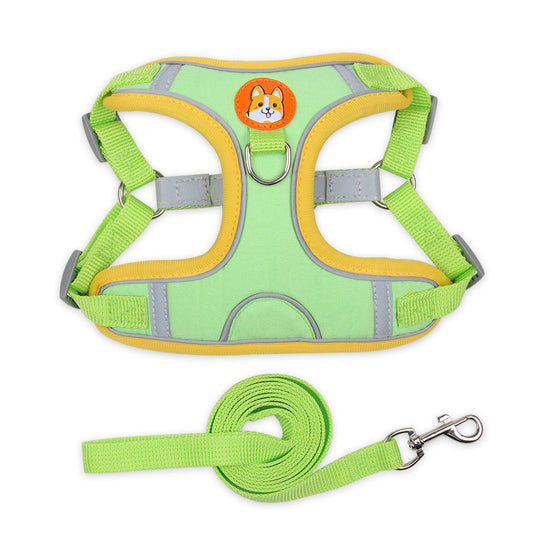 Reflective pet harness set for safer daily walks