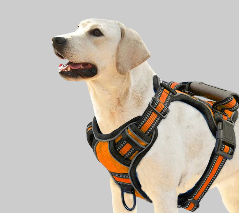 Reflective no-pull dog harness vest front view with breathable adjustable design.